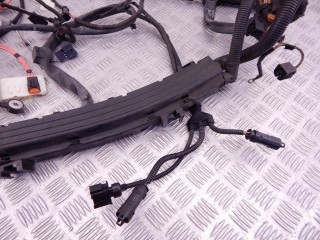 Проводка двигателя, ориг. номер N52N, 12517566466, 7566466, BMW X5-series (E70) 2006-2010