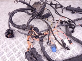 Проводка двигателя, ориг. номер N52N, 12517566466, 7566466, BMW X5-series (E70) 2006-2010