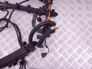 Проводка двигателя, ориг. номер N52N, 12517566466, 7566466, BMW X5-series (E70) 2006-2010