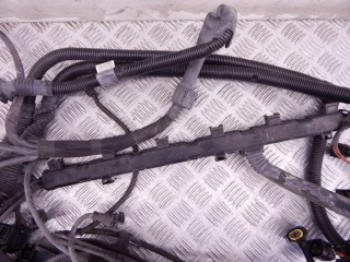 Проводка двигателя, ориг. номер N52N, 12517566466, 7566466, BMW X5-series (E70) 2006-2010