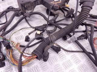 Проводка двигателя, ориг. номер M52TU, 1440006, 12511440006, 12511437287, 1437287, BMW 3-series (E46) 1997-2003