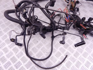 Проводка двигателя, ориг. номер M47N, 12517796808, 7796808, 12517794808, 7794808, 12517790726, 7790726, BMW 3-series (E46) 2001-2006