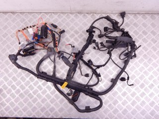 Проводка двигателя, ориг. номер N46, 12517549280, 7549280, 12517545182, 7545182, BMW 3-series (E90/91/92) 2004-2008