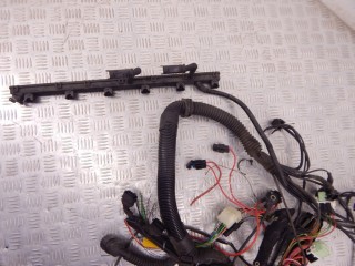 Проводка двигателя, ориг. номер 1433358, M52, 12511433358, BMW 5-series (E39) 1995-2000