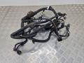 Проводка двигателя Toyota Prius 2008г. - фото №2