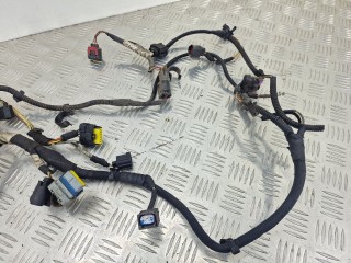 Проводка двигателя, Land Rover Range Rover Sport 2005-2009