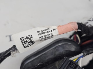 проводка двери задней левой, ориг. номер 2067965-00, Tesla Model 3 2017-2021