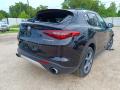 Alfa Romeo Stelvio 1 поколение 2018г. 2.0 л. - фото №6