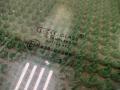 43R00299 стекло seat Toledo 1997г. - фото №3