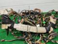 31254414 проводка (коса) салона Volvo S40 2009г. - фото №3
