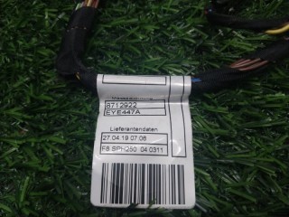 Проводка обшивки двери задняя, ориг. номер 61128712926, BMW X5 G05 2018-2023