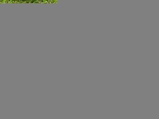 Кнопка курсовой устойчивости, ориг. номер 251454CL0A, NISSAN X-TRAIL T32 2013-2019