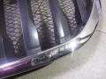51138493451 Решетка радиатора BMW X1 F48 - фото №5