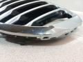 51137454887 Решетка радиатора BMW X5 G05 - фото №2