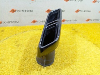 Насадка на глушитель, ориг. номер A2134901802, Mercedes-Benz E-CLass W213 2016-2021