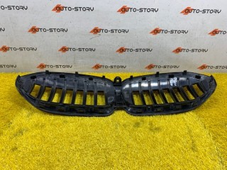 Решетка радиатора, ориг. номер 51138072085, BMW 3-Series G20 2018-2022