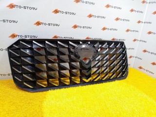 Решетка радиатора, ориг. номер 7110003DRS0200, GAC GS8 2