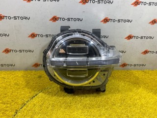 Фара левая, ориг. номер 4121102XKM01C, Tank 300
