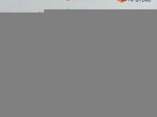 Накладка на решетку радиатора, ориг. номер A4638881300, Mercedes-Benz G-Class W463