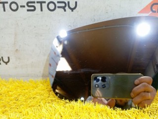 Стекло зеркала электрического левого, ориг. номер 601000391AA, Chery Tiggo 7 Pro 2016-2020