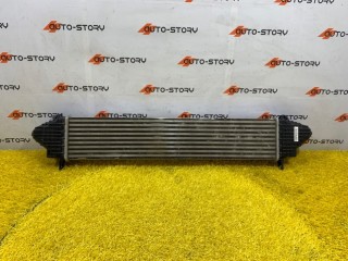 Интеркулер, ориг. номер 1119130XGW01A, Haval Jolion 2021-2024