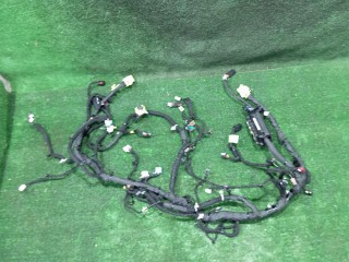 проводка торпеды, ориг. номер 42844247, 103201267, Buick Envista 2022-2026