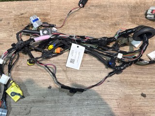 проводка двери задней левой, ориг. номер 203244100, Tesla Model X 1 поколение 2015-2021