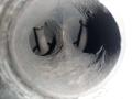 CDHB, CDHA, CDH двигатель Audi A4 B8 - фото №9