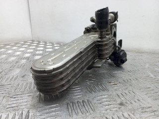 радиатор EGR, ориг. номер 038131513AD, Volkswagen Golf 4 поколение 1997-2006