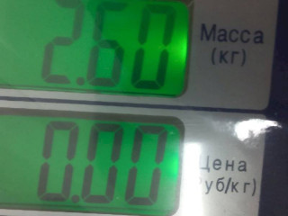 суппорт тормозной задний правый, Volkswagen Passat B5 1996-2001