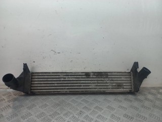интеркулер Renault Sandero 1 поколение 2009-2014, 15.0 л, 8200409045
