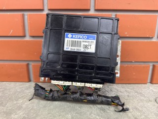Блок управления АКПП Hyundai Santa Fe SM 2000-2004