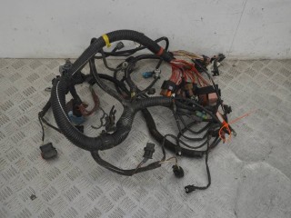 Проводка двигателя, Renault Logan 1 2004-2009