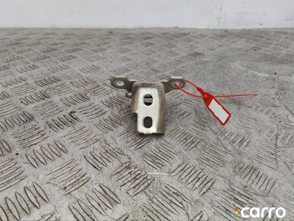 Петля двери Renault Scenic 3 2009-2012, 804010016R, фото 2
