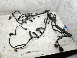 проводка двигателя, ориг. номер V760096080, 7600961, Peugeot 5008 1 поколение 2009-2013