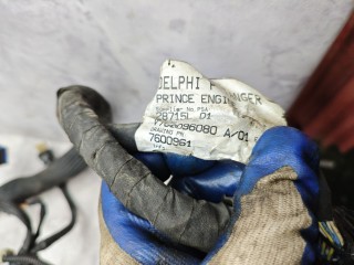 проводка двигателя, ориг. номер V760096080, 7600961, Peugeot 5008 1 поколение 2009-2013