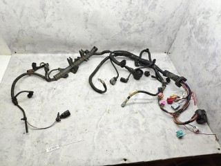 проводка двигателя Volkswagen Multivan T5 2003-2009, 7H0971349H