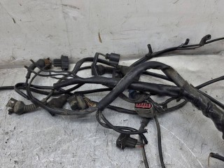 Проводка двигателя, ориг. номер 0281010170, 038906018GA, Volkswagen Passat B5 1996-2001