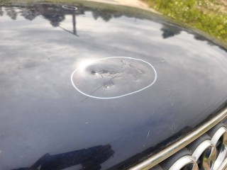Капот, ориг. номер 8D0823029B, Audi A4 B5 1994-1999