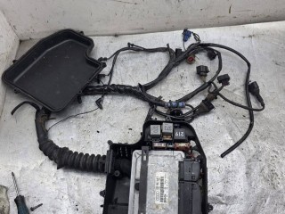 Проводка двигателя, ориг. номер 0281001721, 038906018S, Volkswagen Passat B5 1996-2001