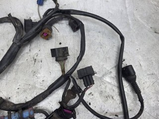 Проводка двигателя, ориг. номер 0281001721, 038906018S, Volkswagen Passat B5 1996-2001