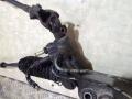 AM620G рулевая рейка Infiniti G35 3 поколение 2003г. - фото №2