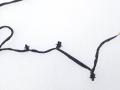 806004235AA проводка двери задней Chery Tiggo 8 Pro Max 2021г. - фото №6