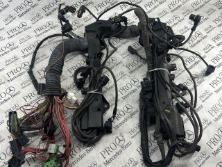 проводка двигателя BMW 5 E60/E61 2002-2007