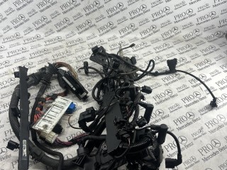 проводка двигателя BMW X5 E70 2006-2010