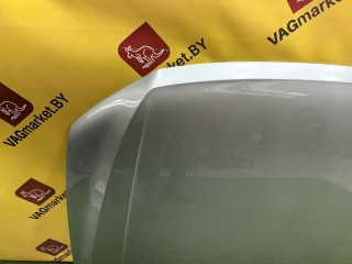 капот, ориг. номер 5NN823155B, Volkswagen Tiguan 2 поколение [рестайлинг] 2020-2024