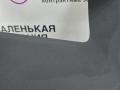 62309384374, 51169218563, 9236820, 9287540, 62309321278, 9321278, 51459256100 Проекция на лобовое стекло BMW X5 F15 2013г. - фото №23