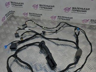 проводка двери передней правой, ориг. номер 8779803, BMW X5 G05 2018-2023