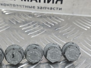болт, ориг. номер 24407561393, 7561393, BMW 7 F01/F02 [рестайлинг] 2012-2015