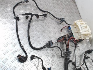 Проводка двигателя, BMW 3 E90/E91/E92/E93 2008-2013